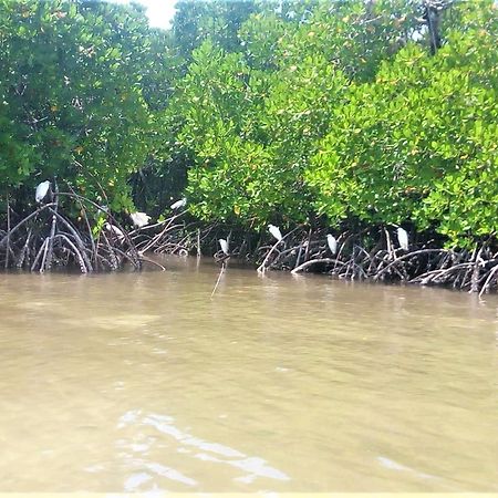 Mida Creek Nature Camp Watamu Buitenkant foto