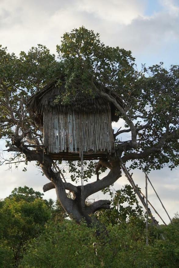 Mida Creek Nature Camp Watamu Buitenkant foto