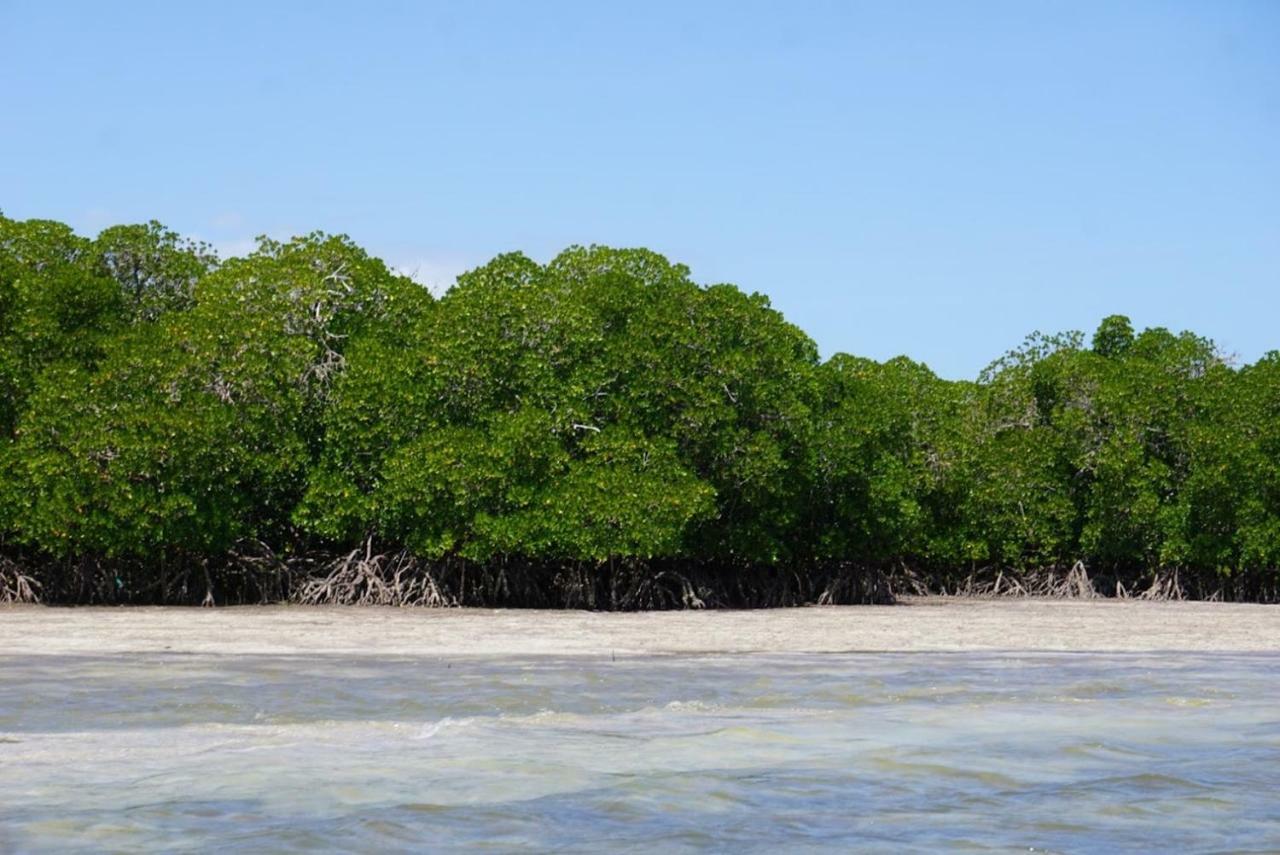 Mida Creek Nature Camp Watamu Buitenkant foto