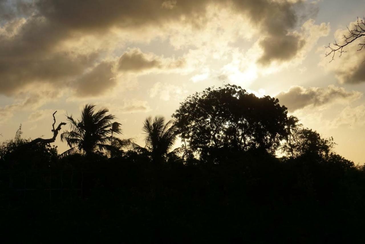 Mida Creek Nature Camp Watamu Buitenkant foto