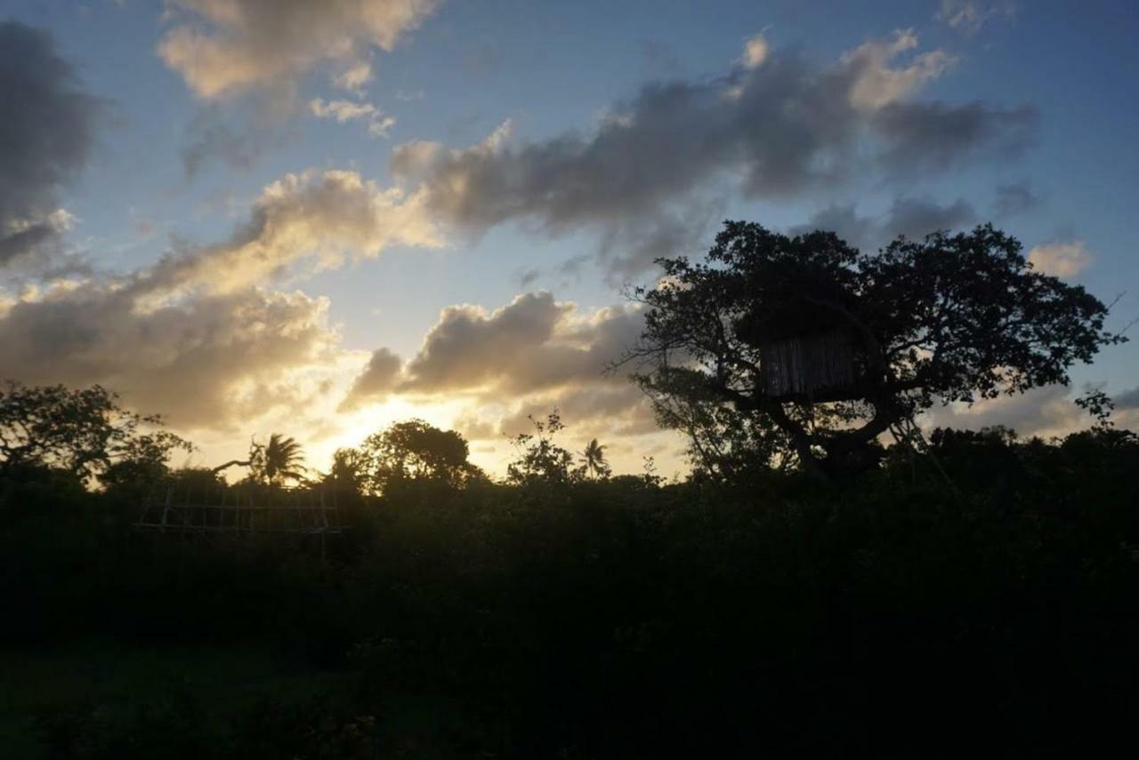 Mida Creek Nature Camp Watamu Buitenkant foto