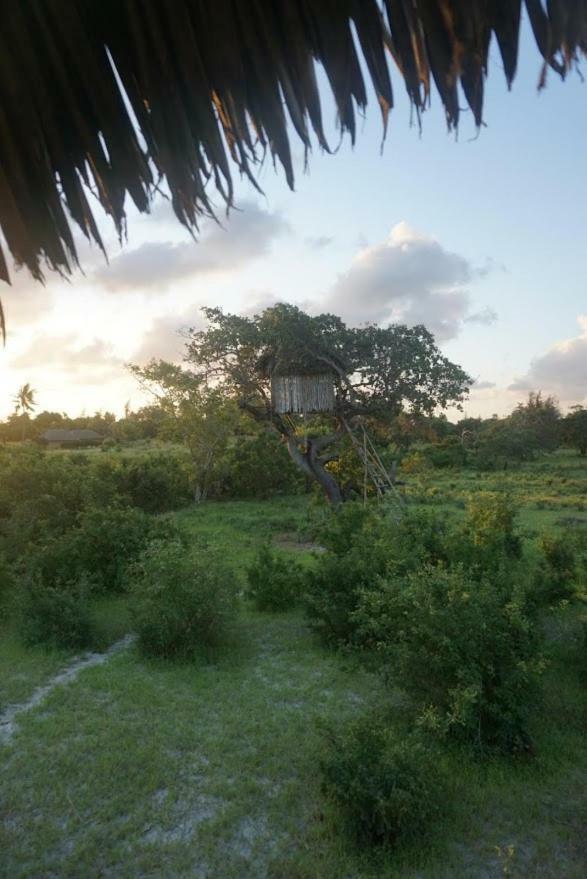 Mida Creek Nature Camp Watamu Buitenkant foto