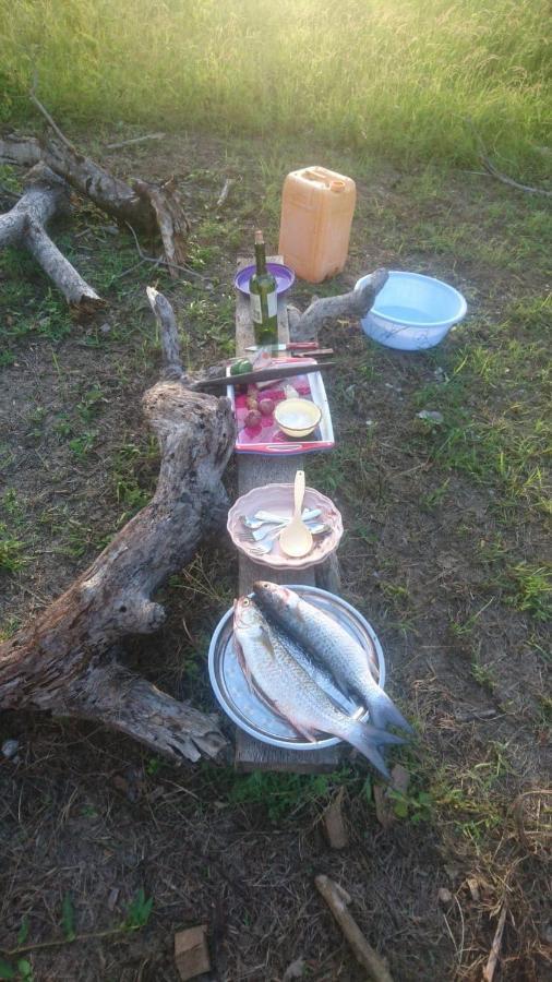 Mida Creek Nature Camp Watamu Buitenkant foto
